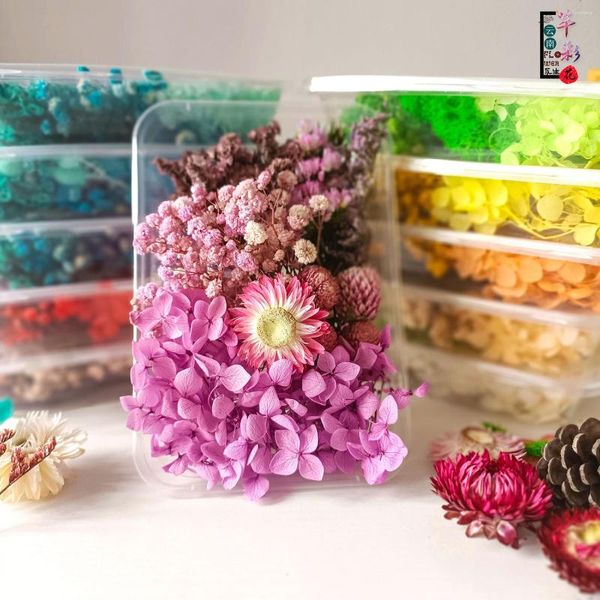 Flores decorativas Diy seco para fazer capa de celular vela artesanato artesanal epóxi resina pingente de jóias de jóias de jóias