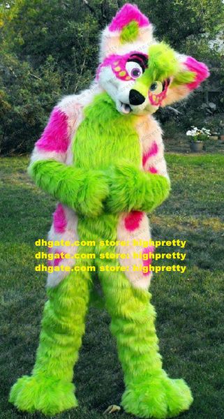 Pelliccia lunga verde Furry Fox Mascot Costume Wolf Husky Dog Fursuit Cartone animato per adulti Pianificazione del marketing Prestazioni di vendita zz7662