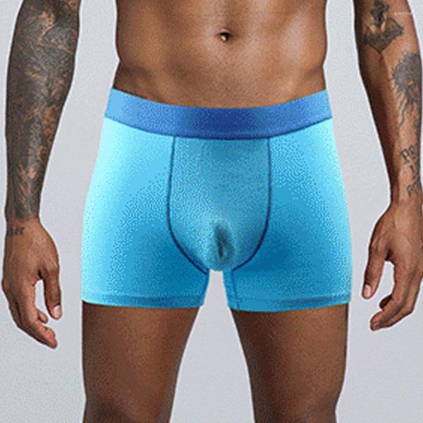 Mutande Uomo Intimo di cotone Pantaloncini sexy U Mutandine convesse Comfort Sport Pene Borsa grande Rigonfiamento Boxer Uomo Taglie forti Boxer piatti