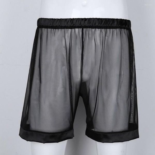 Unterhosen Männer Unterwäsche Sexy Mesh Boxer Briefs Lange Bein Transparent Höschen Shorts Beutel Boxershorts Slips Homme