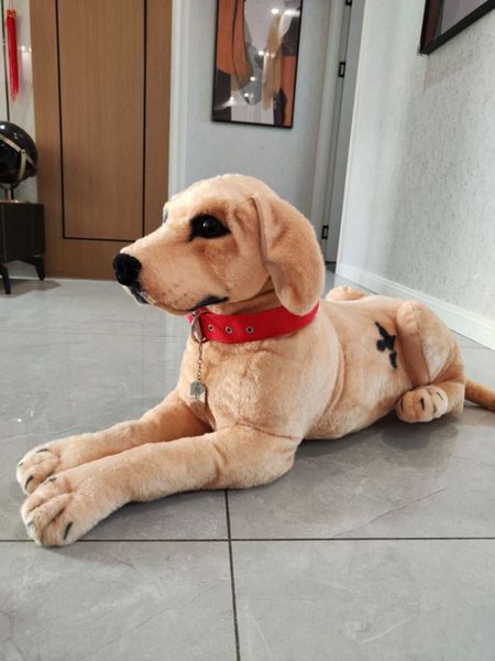 Realista Labrador Plexh Toy Golden Retriever Dog Simulação Cães Animais Crianças brincam boneca para crianças Presente de Natal 75x38cm Dy10124