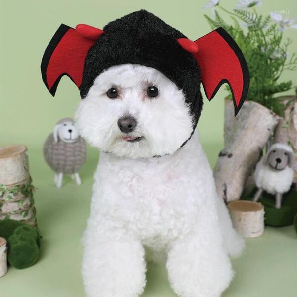 Abbigliamento per cani Cappello divertente per gatto Stella marina Cerchio Pollo Dress Up Costume Pet Halloween Cosplay Copricapo caldo Cappelli per cani Accessori per cuccioli