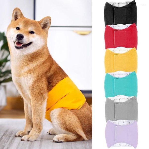 Abbigliamento per cani Animali domestici Pantaloni fisiologici Pannolini Impermeabili Sanitari Lavabili Mutandine mestruali Pantaloncini Intimo Slip Cani di taglia grande Cinture