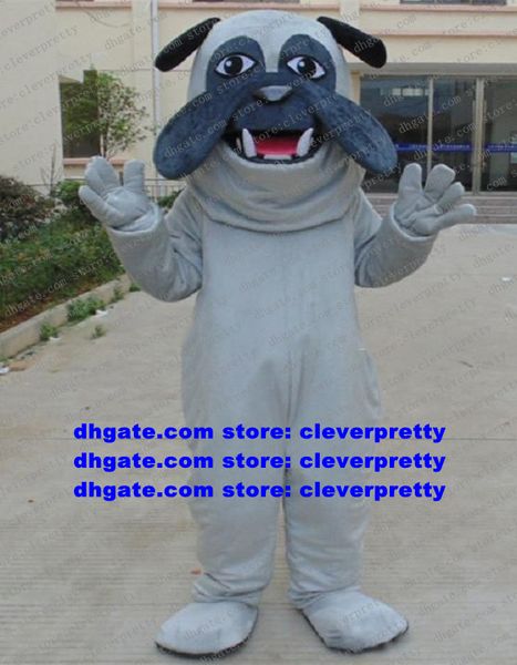 Grey Bulldog Dogs Mascot Costume Pitbull Bulls Cane Pit Bull Terrier Personaggio dei cartoni animati per adulti Grandi eventi Conferenza Foto zx820