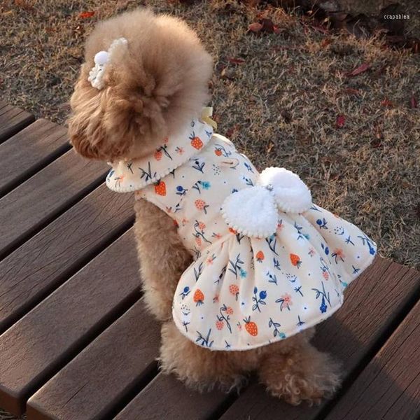 Abbigliamento per cani S Fiocco Abito autunnale Gatto Gonna Cucciolo Cappotto Costume piccolo Abiti bowknot Teddy Yorkie Pomerania Bichon Abbigliamento barboncino