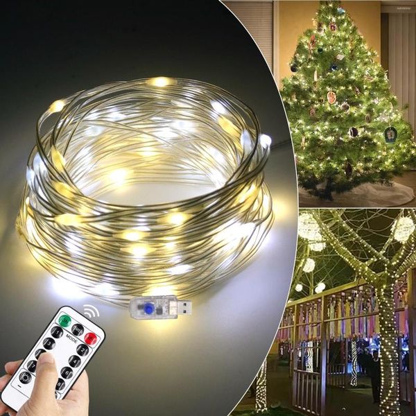 Stringhe 10M telecomando LED lucine 5V USB alimentato freddo/caldo bianco esterno impermeabile stringa di Natale timer 8 modalità