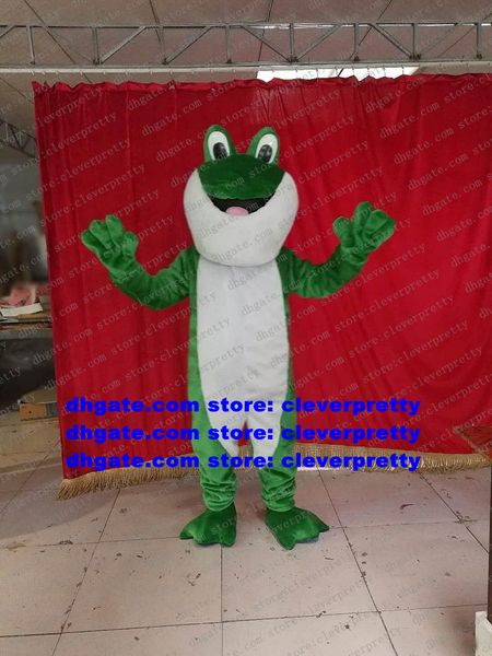 Frosch Kröte Bufonid Ochsenfrosch Maskottchen Kostüm Erwachsene Cartoon Charakter Outfit Anzug Firmenaktivität Unternehmen Propaganda zx1657