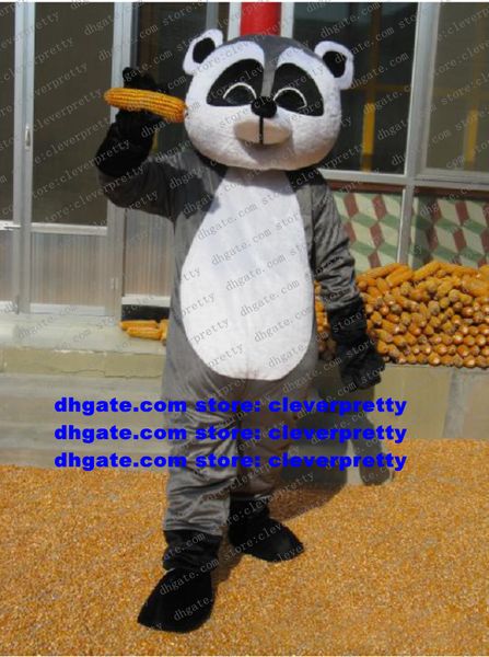 Grey Raccoon Racoon Procyon Lotor Mascot Costume de cartoon adultos Desempenho de vendas de roupas de desenho animado Obrigado ZX2957