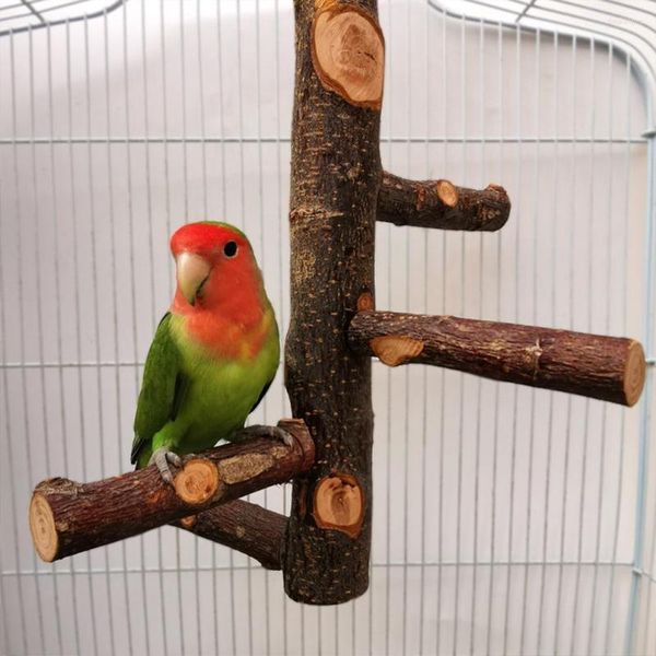 Outros pássaros suprimentos de pássaros Pet Parrot Stand Soll Wood Stand Standing Pólo Morda