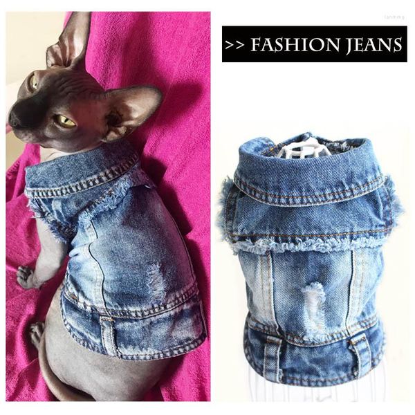 Cat Costumes Spring Jeans Vest Series Fashion Denim Clothes For Cats Sphynx Casual Cowboy Kitten Coat Jacket Pet Costume XS-XXL 10E