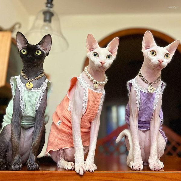 Costumi per gatti Colori caramella Gattino senza peli Abbigliamento Abiti Devon Rex Vestiti per bretelle Sphynx sottile senza maniche estivo