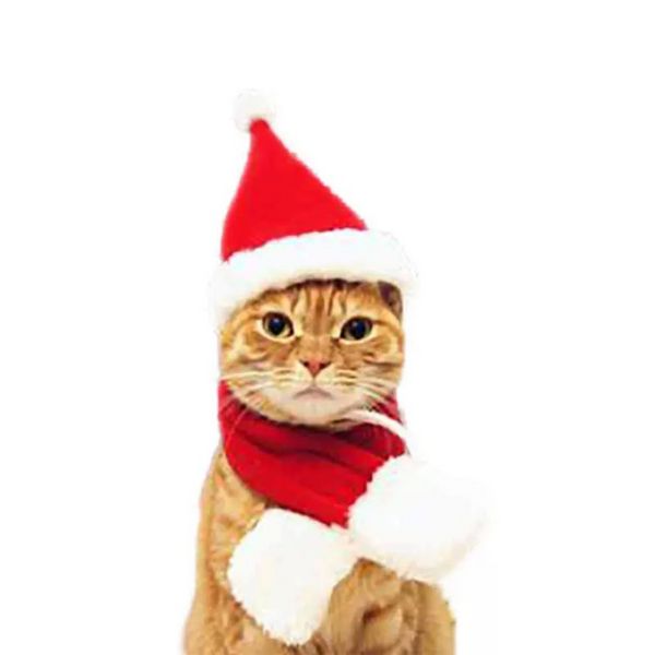 Buon Natale Simpatico abbigliamento per cani Piccolo peluche Cappello da Babbo Natale Sciarpa Vestiti Decorazione natalizia Cucciolo Gattino Gatto Berretto Felice anno nuovo Regalo Forniture per animali Accessori FY2554 ss1117