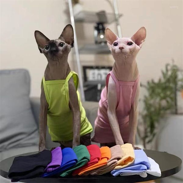 Trajes de gatos roupas sem pêlos suspensórios de verão, colorido de sala de ar-condicionado fino e respirável