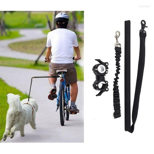 Hundehalsbänder Outdoor Haustier Leine Fahrrad Übung Freisprecheinrichtung für Walk Run Produkt Seil Walking Tools