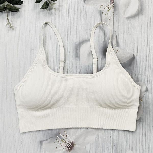 Reggiseno sportivo a costine per abbigliamento da yoga per donna Reggiseno sportivo traspirante con top corto Reggiseno push-up a righe senza cuciture Palestra Allenamento fitness Reggiseni sportivi da donna