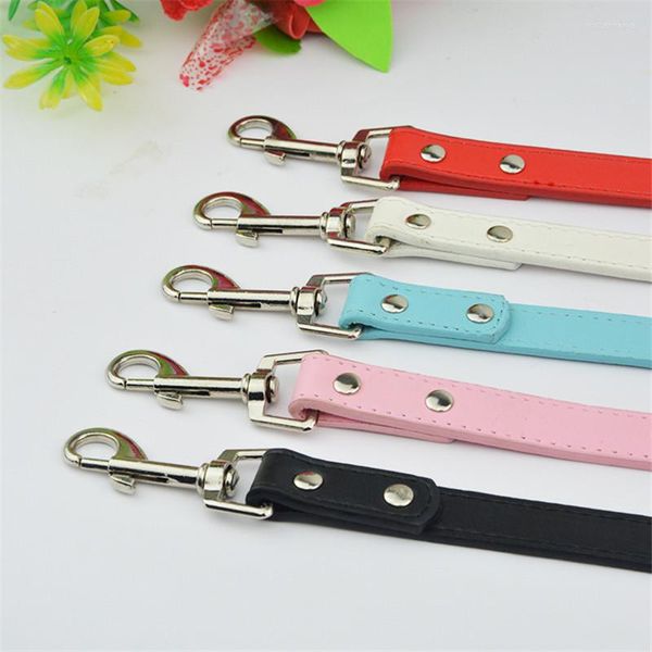 Collares para cães Marca 5 cores 1.5cm 2,0cm Largura 120cm Comprimento de couro de colméias fortes PET chumbo