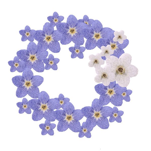 Flores decorativas grinaldas 100pcs prensado azul myosotis sylvatica esquecemenot para colar de pingente de resina epóxi Jóias fazendo acessórios de diy artesanal 221122