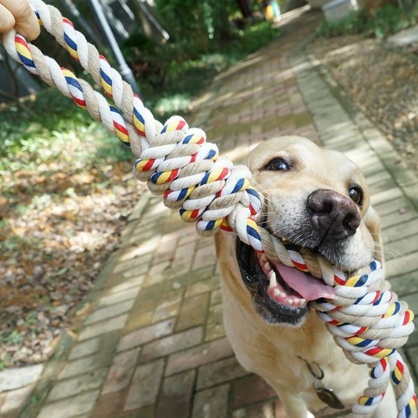 Brinquedos para cachorro Chews 60 cm de animais de estimação Morda de corda de dente molar brinquedo para grandes brinquedos de Rottweiler Golden retriever mastigando os dentes grandes WF1015 221122