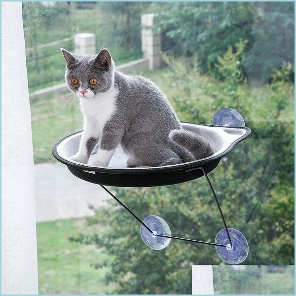 Altre forniture per gatti Hammock Cat Hammock Succhiato Succhiato Finestra in vetro CATTERY Accessori per cani da compagnia Cane Fashion Dropsed Delivery Garden Forniture DHVI9