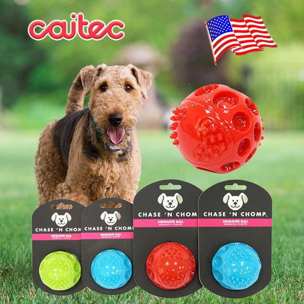 I giocattoli per cani mastica Caitec cigolanti palla rimbalzante durevole floable slancia cigolio resistente al morso resistente a 211122 piccoli a grandi