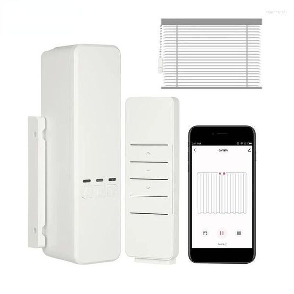 Moduli di automazione intelligente WiFi Tende a rullo a catena motorizzate wireless Ombra Tapparella Tenda elettrica Camper automatico