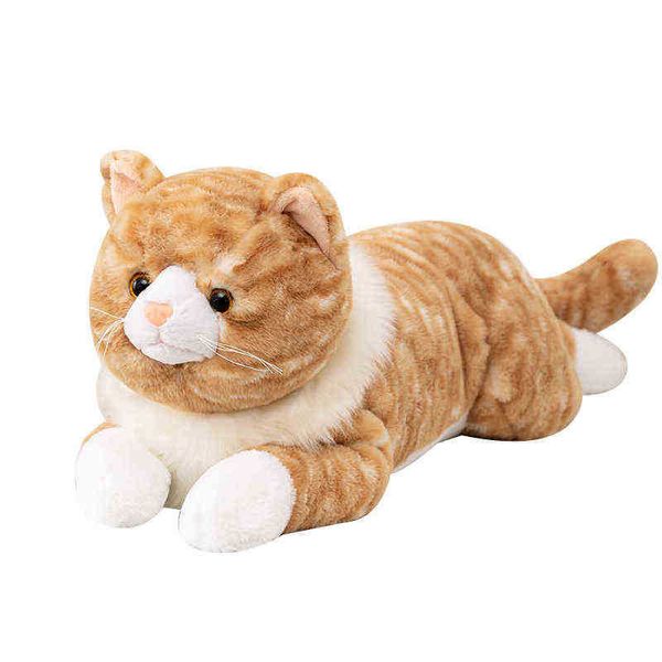 Kawaii Creative Shiba Inu Husky Polar Bear Cat Peluche Toy Fucked Soft Animal Cushion красивые куклы для детских подарков LDRE J220729