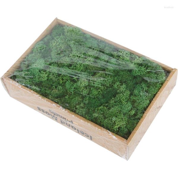 Flores decorativas Diy Moss Wall Wall Artificial Secado Natural Preservado Floral para Decorar a Decoração de Festas de Casamento em Casa