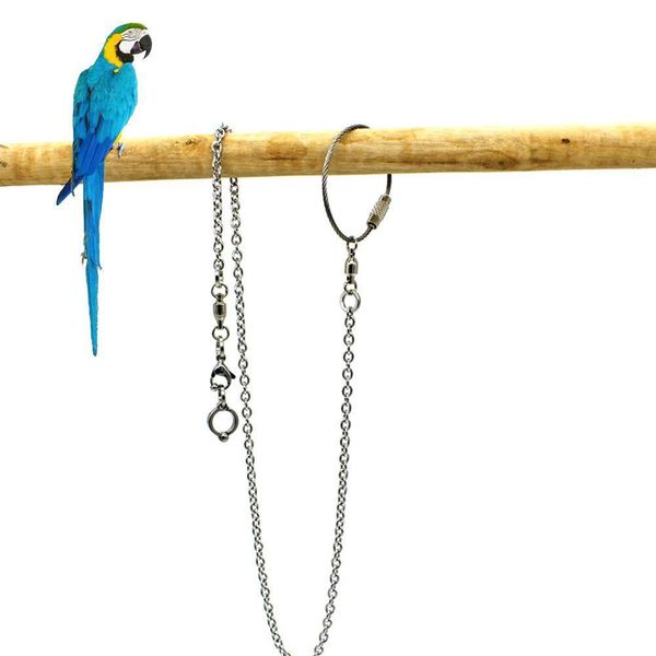 Andere Vogelzubehör-Ankunfts-Papageien-Edelstahl-Fußring-Kettenöffnungsaktivität für Lovebird-Nymphensittich-Sittich-Ständer-Fußkettchen 221128