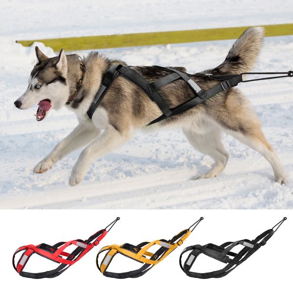 Hundehalsbänder, Leinen, wasserdicht, Schlittengeschirr, reflektierend, Haustier-Skijöring, große, große S-Gewichtszugweste für das Training 221125