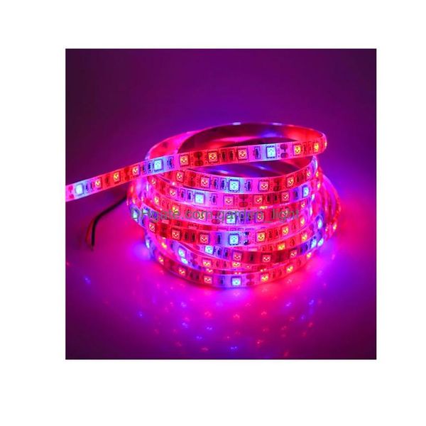 Grow Lights Led 5M Phyto Lamps Fl Spectrum Strip Light 300 Leds 5050 Chip Fitolampy impermeabile per serra idroponica Dhf0P