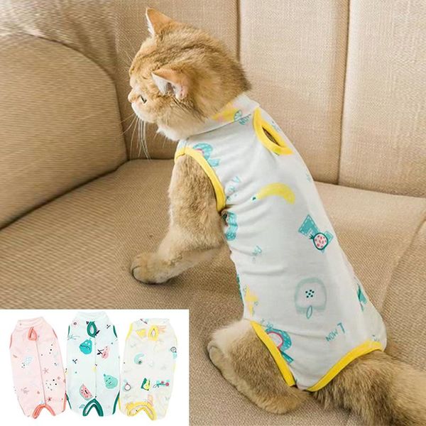 Vestido de gato de vestuário para cães Vestido de gato Recuperar depois de roupas Ferida Ferida anti-mita Terno de recuperação de terno de esterilização