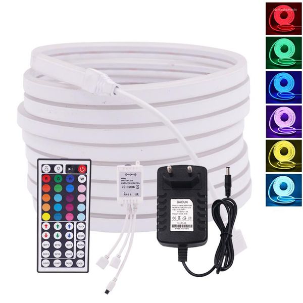 Полоски RGB Neon Strip с пультом дистанционного управления SMD2835 12V Гибкая световая лента 96LEDS/M водонепроницаемый знак DIY Ночная лампа