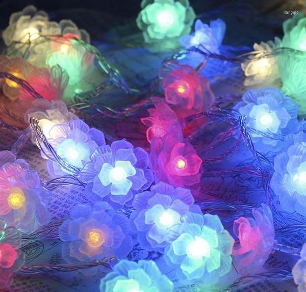 Dizeler 5m 40LED Sıcak Beyaz Kamelya Bataryası LED String Noel Peri Işıkları Yaratıcı DIY Manuel Aydınlatma Luminaria Gece Işığı