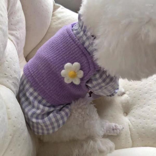 Vestuário para cães roupas coreanas de suéter roxo colete de pelúcia bi urso camisa xadrez primavera no verão e outono e inverno