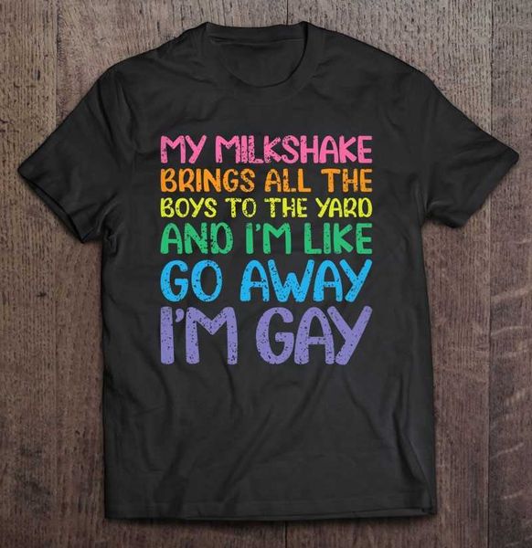 Camisetas masculinas bandeira lésbica orgulho gay arco-íris LGBT Funny Queer camiseta masculina Camisas de anime Tshirt Roupas estéticas camiseta feminina camisa ginástica t221006