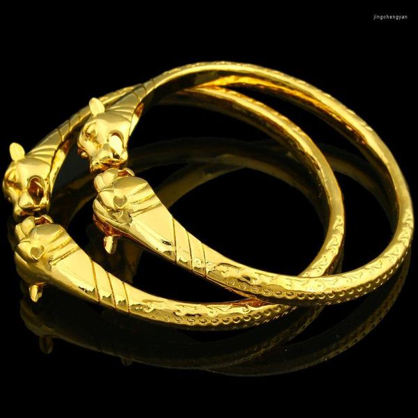 Bangle Adixyn 2pcs/лот Дубай Драконки Bangles for Women Men Men Золотый браслет Ethiopian/India/African Dewelry