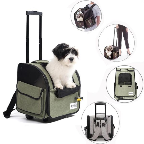 Coprisedili per auto per cani Passeggino per animali domestici di grandi dimensioni Passeggino pieghevole multifunzionale Trasporto aereo approvato Cat Carrier Zaino su ruote