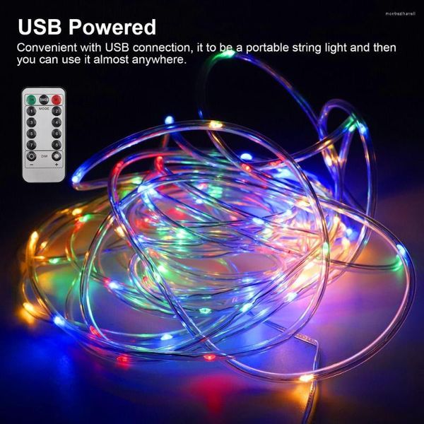 Saiten 33ft / 10m LED-String-Licht 8 Modi Dimmbare wasserdichte mehrfarbige Outdoor-Seilstreifen mit Fernbedienungsbeleuchtung