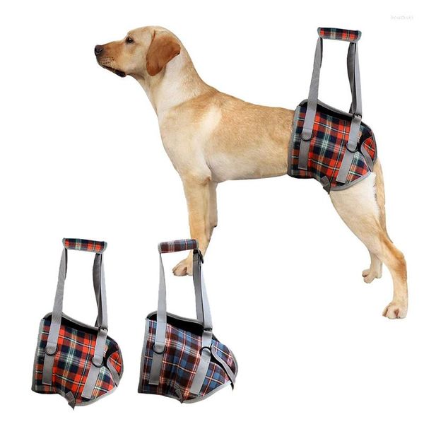Imbracatura di supporto per abbigliamento per cani per gambe anteriori e posteriori Sollevamento Gilet per riabilitazione regolabile Cani anziani con disabilità Articoli per animali domestici