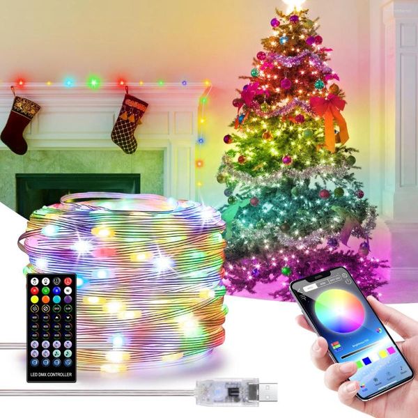 Stringhe Bluetooth USB LED Filo di rame Fata String Lights RGBIC Colore da sogno Festa Matrimonio Decorazione interna Giardino Natale