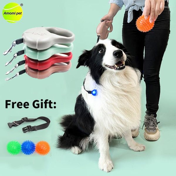 Collari per cani Guinzaglio automatico 5M Corda retrattile in nylon resistente Cucciolo che cammina Collare regalo gratuito e giocattoli a sfera
