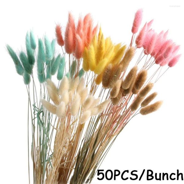 Dekorative Blumen Kränze natürliches Schwanzgras 50pcs/Los Trockener Foxtail Wirklich Bouquet Pastoral Style Shooting Requisiten Großhandel Großhandel