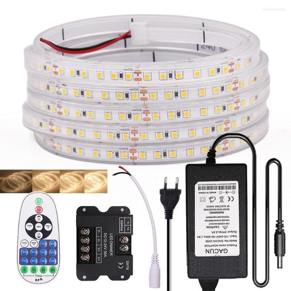 Strisce Dimmabile 12V 24V 2835 Luce LED Light 120leds/m con telecomando US US Plug Flexible Waterproof Lampada a nastro decorazione per la casa