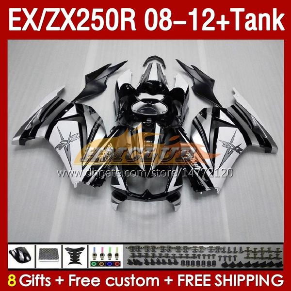 OEM Verkleidungen Tank für KAWASAKI NINJA ZX250R EX ZX 250R ZX250 silbrig schwarz EX250 R 08-12 163No.10 EX250R 08 09 10 11 12 ZX-250R 2008 2009 2010 2011 2012 Einspritzverkleidung