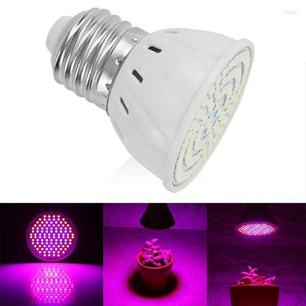 Grow Lights 60/80 220V Светодиодный свет E27 Лампа лампы для гидропонного гидропонного спектра