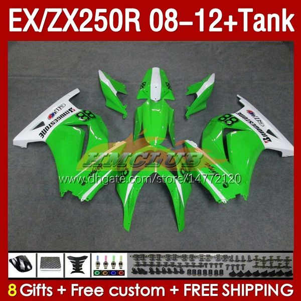 Einspritzverkleidungstank für KAWASAKI NINJA EX250R ZX250R 2008 2009 2010 2011 2012 ZX250 EX250 R 163Nr. 104 ZX-250R 08-12 EX ZX 250R 08 09 10 11 12 OEM-Verkleidung grüner Bestand