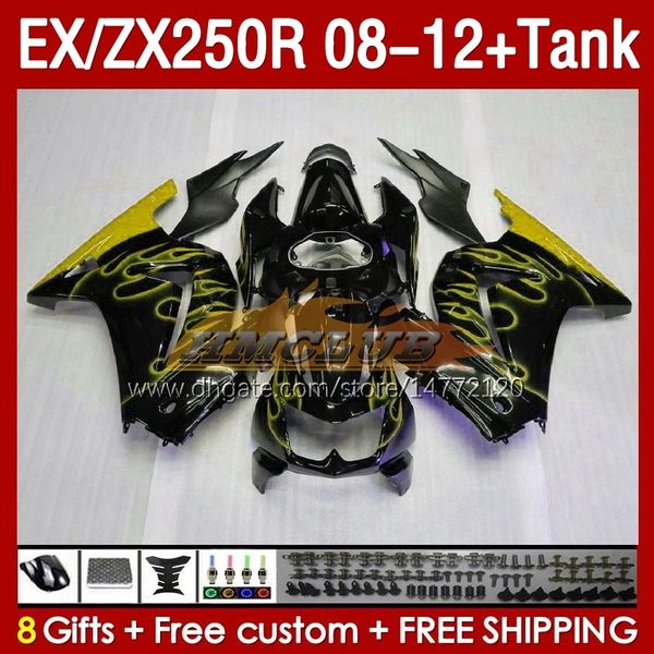 Tank OEM Learings для Kawasaki Ninja ZX-250 ZX250 EX250 R ZX250R 08 09 10 2011 2011 163NO.207 EX ZX 250R EX250R ZX-250R 2009 2009 2010 11 12 Инъекции.