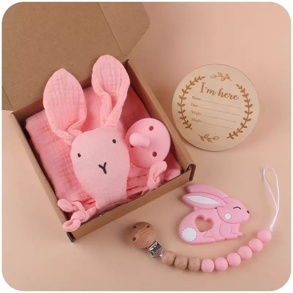 Детские продукты Bibs Bunny Teetthers Pacifiers Set Sets Cartoon Rabbit Успокаивающий полотенце Творческий малыш Силиконовый Соски -Циффир