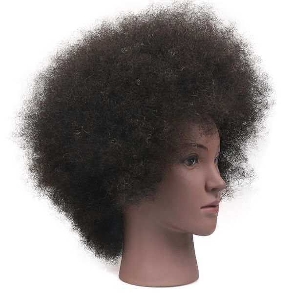 Afro Full Human Human Hannequin Head Mold Hair Practice Black Dummy African