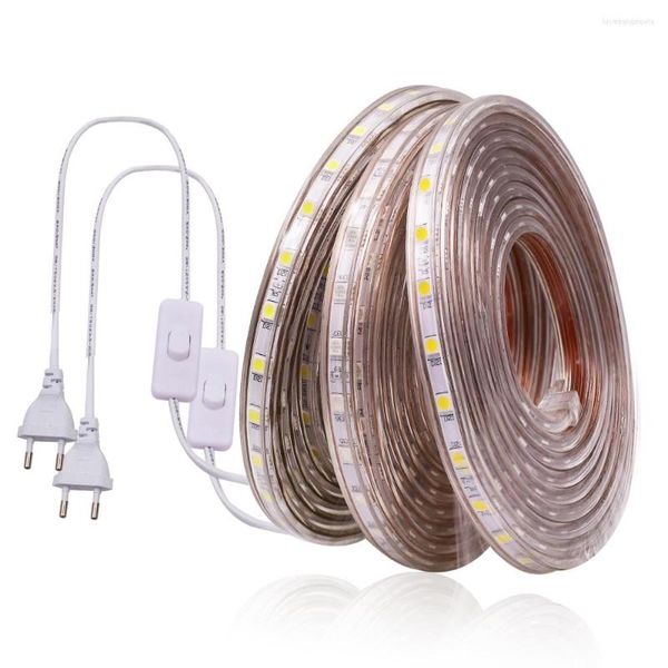 Şeritler 220V LED STRIT STRIP ENDİ IŞIK SMD 60LEDS/M Su Geçirmez Bant Şeridi Beyaz Sıcak Lamba Switch Eu Fişi ile